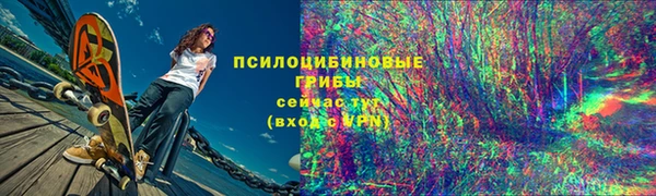 эйфоретик Аркадак