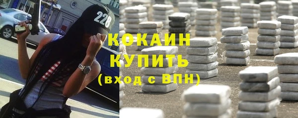 амф Краснослободск