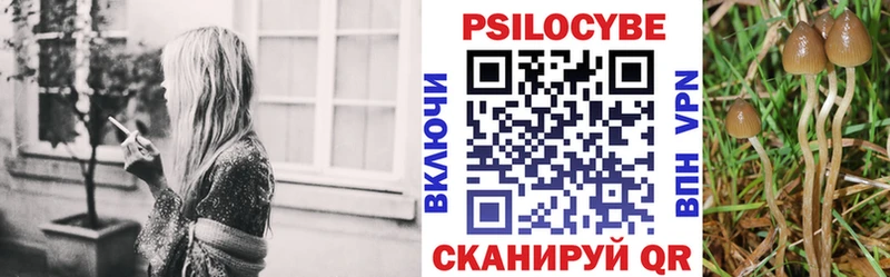 Псилоцибиновые грибы мухоморы  Приозерск 